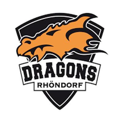 Dragons Partner Dragons Partner