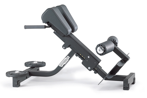 Element Lower Back Bench Kraft Geraete Training Gesundheitszentrum Element Lower Back Bench Kraft Geraete Training Gesundheitszentrum